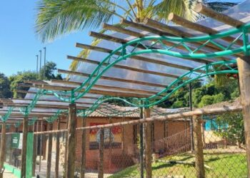 1 of 1 Escola Municipal Paulo Renato Costa Souza promove II Semana da Educação Inclusiva