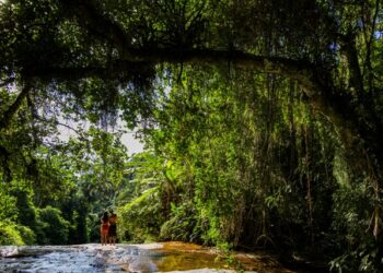 Ilhabela participa do Abeta Summit 2025 e reforça protagonismo no turismo de natureza