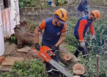 Prefeitura de Ilhabela atua em força-tarefa após ventania que atingiu a cidade