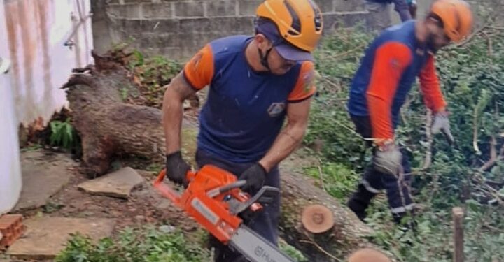 Prefeitura de Ilhabela atua em força-tarefa após ventania que atingiu a cidade