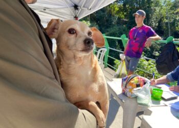 Programa “Bem-Estar Animal” vacina 57 pets no Morro do Cantagalo