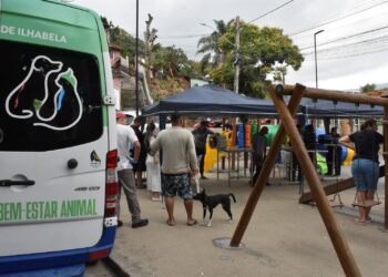 Programa “Bem-Estar Animal” vacina mais de 70 pets nesta quarta-feira (6)