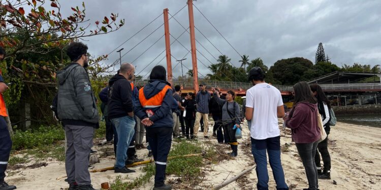 Prefeitura de Ilhabela promove curso para capacitar servidores na identificação e conservação da Mata Atlântica