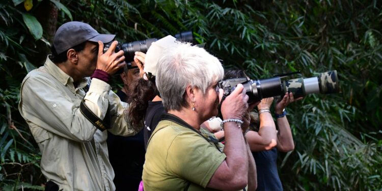 Ilhabela realiza Bird Week 2025 com programação especial de observação de aves e educação ambiental