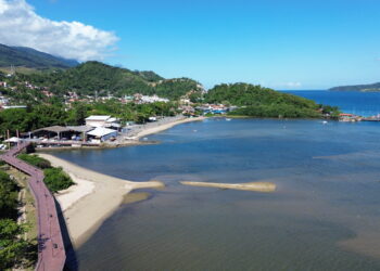 Jornada Ecológica SOS Mangue 2025 traz 16 pontos de educação ambiental neste sábado (27)