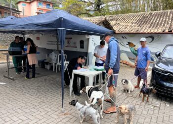 Programa “Bem-Estar Animal” atendeu cerca de mil pets em 2025