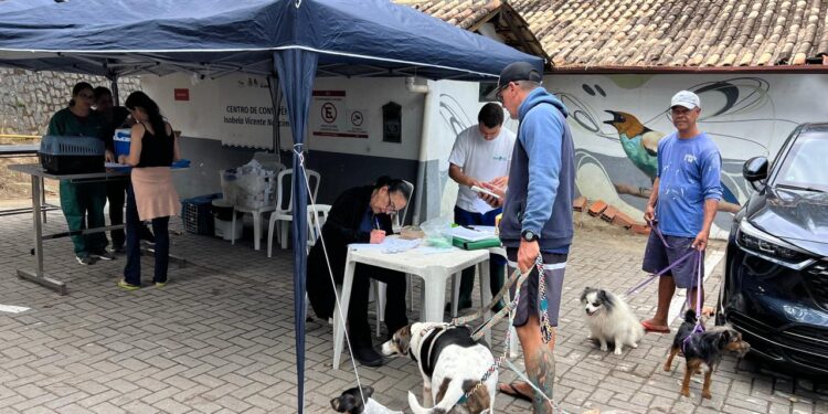 Programa “Bem-Estar Animal” atendeu cerca de mil pets em 2025