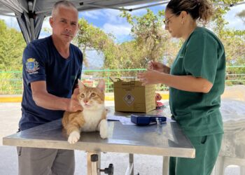Programa “Bem-Estar Animal” vacina cerca de 70 pets no Morro dos Mineiros e no Morro do Cantagalo em Ilhabela