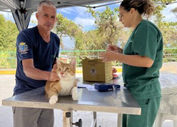 Programa “Bem-Estar Animal” vacina cerca de 70 pets no Morro dos Mineiros e no Morro do Cantagalo em Ilhabela