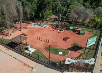 Prefeito Toninho Colucci promove dia de atividades em prol da causa animal em Ilhabela neste sábado (4)