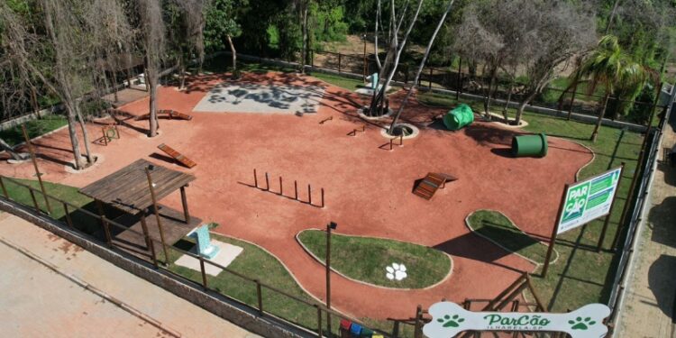 Prefeito Toninho Colucci promove dia de atividades em prol da causa animal em Ilhabela neste sábado (4)