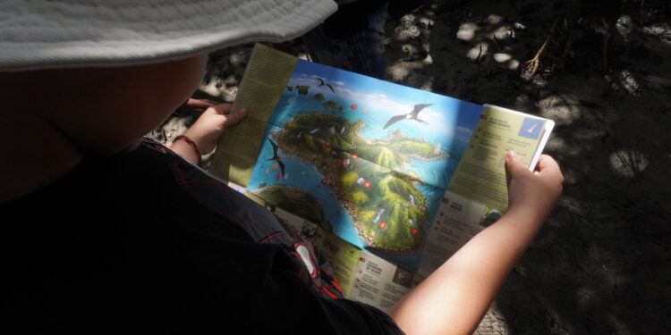 Prefeitura de Ilhabela orienta moradores e turistas sobre árvores exóticas e invasoras durante a Jornada Ecológica SOS Mangue 2025