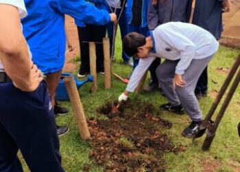 Equipe do Viveiro Municipal de Ilhabela realiza manejo da vegetação da orla e plantio de espécies nativas com alunos da E.M. Paulo Renato