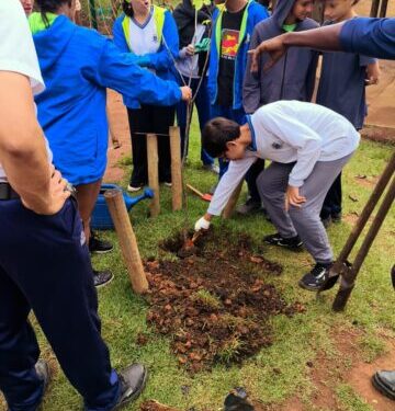 Equipe do Viveiro Municipal de Ilhabela realiza manejo da vegetação da orla e plantio de espécies nativas com alunos da E.M. Paulo Renato