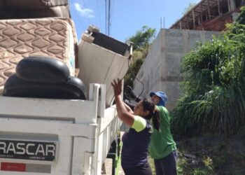 Prefeitura de Ilhabela atualiza calendário de coleta de podas e bota-fora