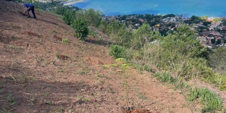 Prefeitura de Ilhabela destaca balanço positivo das ações de prevenção a incêndios florestais durante o período de estiagem