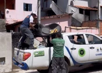 Prefeitura de Ilhabela intensifica ações de prevenção contra dengue no período chuvoso