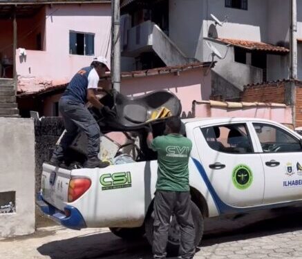 Prefeitura de Ilhabela intensifica ações de prevenção contra dengue no período chuvoso