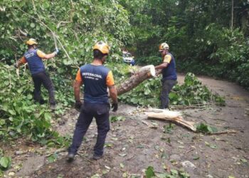 Defesa Civil de Ilhabela acompanha alerta de chuvas intensas para o Litoral Norte