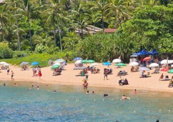 Fiscalização estratégica garante reordenamento na temporada 2026