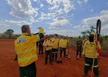 Governo de São Paulo abre inscrições para sete vagas de brigadistas temporários com atuação no Parque Estadual de Ilhabela