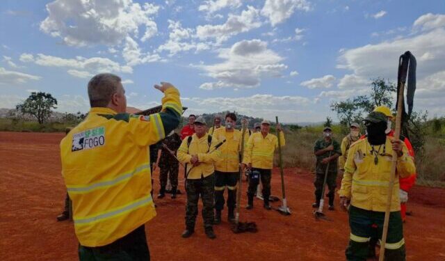 Governo de São Paulo abre inscrições para sete vagas de brigadistas temporários com atuação no Parque Estadual de Ilhabela