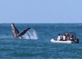 Ilhabela é selecionada para disputar prêmio nacional de boas práticas públicas