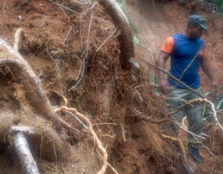 Prefeitura de Ilhabela divulga balanço das chuvas e mantém ações emergenciais em todo o município