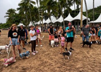 Verão Ilhabela Viva 2026 reúne cerca de 3,5 mil atletas em programações esportivas ao longo do mês