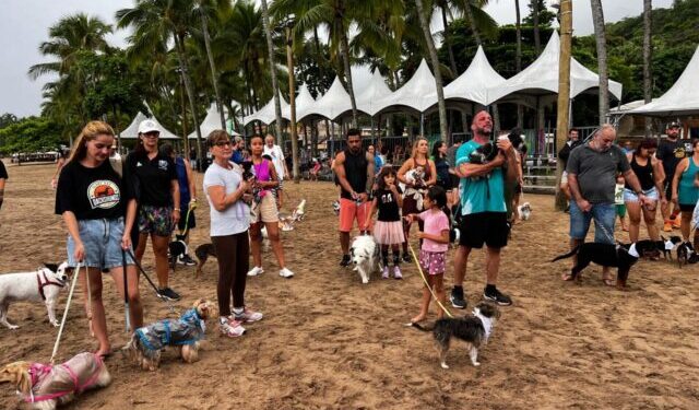 Verão Ilhabela Viva 2026 reúne cerca de 3,5 mil atletas em programações esportivas ao longo do mês