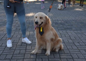 Verão Ilhabela Viva 2026 termina com programação esportiva e atividades para toda a família