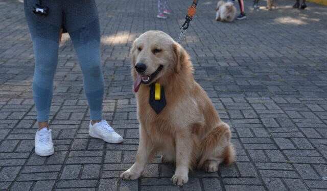 Verão Ilhabela Viva 2026 termina com programação esportiva e atividades para toda a família