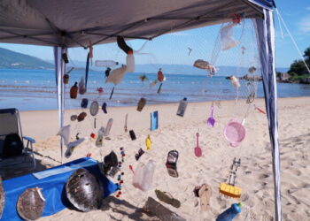 Verão no Clima chega a Ilhabela neste fim de semana com corrida gratuita e ações ambientais abertas ao público