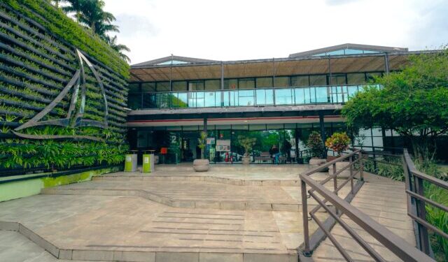 Evento especial em Ilhabela marca o Dia Mundial do Autismo nesta quinta-feira (2)