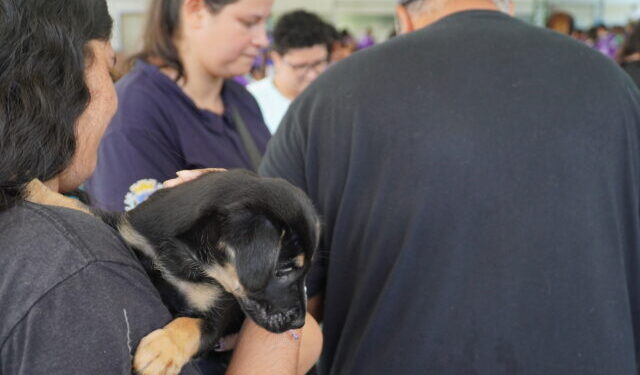 Feira de adoção de animais durante 6ª Corrida das Mulheres cria conexões entre pets e tutores