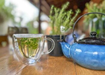 Fundo Social de Ilhabela promove oficinas gratuitas para mulheres durante o Cultura na Praça no Perequê