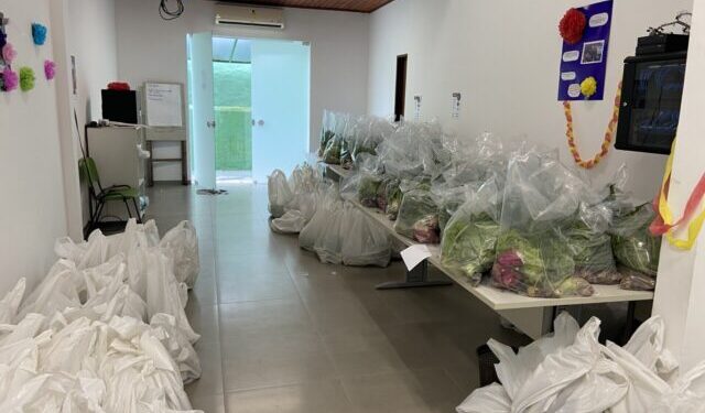 Prefeitura de Ilhabela e Projeto Cesta Verde entregam 1,3 toneladas de alimentos para famílias vulneráveis