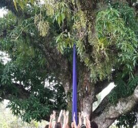 Prefeitura de Ilhabela lança projeto “Cultura na Praça” com edição especial pelo Dia da Mulher