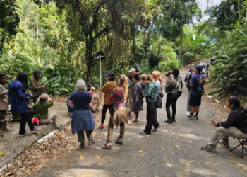 Programação especial marca o Dia da Mulher com foco em bem-estar e educação ambiental em Ilhabela