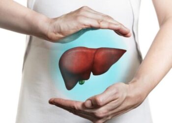 Ilhabela amplia acesso a diagnóstico e tratamento e reforça cuidado contínuo com a saúde do fígado