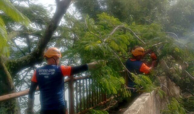 Defesa Civil de Ilhabela atende cerca de 20 ocorrências durante feriado prolongado de Tiradentes