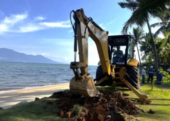 Nova subestação: Elektro realiza retirada e replantio de coqueiros na orla do Perequê