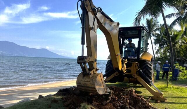 Nova subestação: Elektro realiza retirada e replantio de coqueiros na orla do Perequê