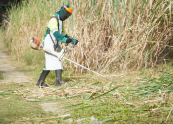 Prefeitura de Ilhabela realiza mutirão de limpeza no entorno da Ponte Estaiada