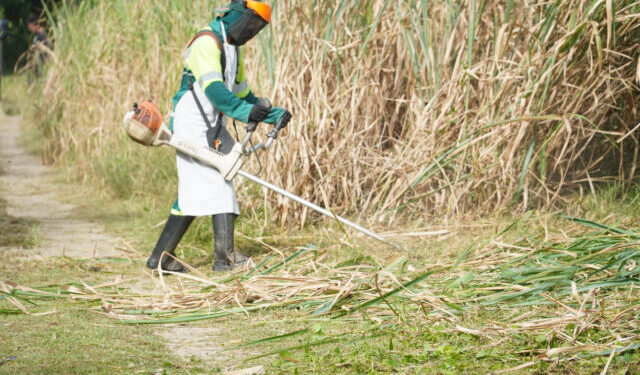 Prefeitura de Ilhabela realiza mutirão de limpeza no entorno da Ponte Estaiada