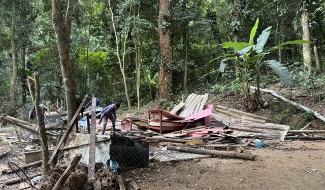 Prefeitura de Ilhabela reforça fiscalização em área de preservação permanente no Green Park