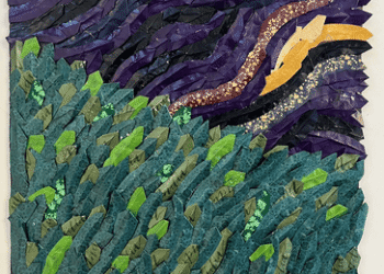 “Raízes”: nova exposição da Fundaci estreia nesta sexta-feira (10)