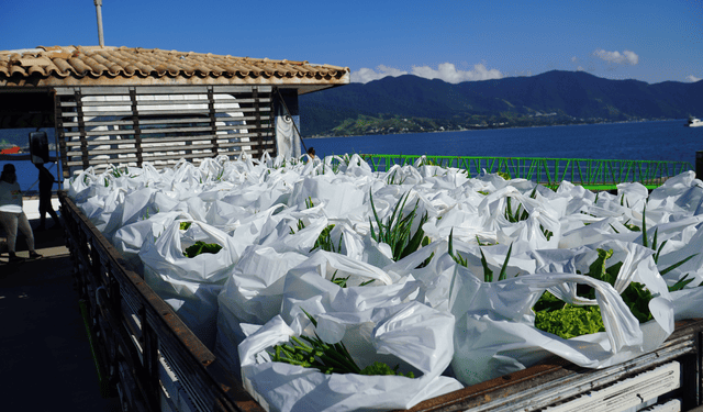 Segunda etapa do Programa de Aquisição de Alimentos distribui mais de 1,8 tonelada de alimentos em Ilhabela