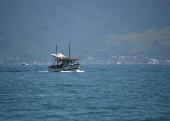 Ilhabela comunica pescadores artesanais para regularização de embarcações pelo Propesc