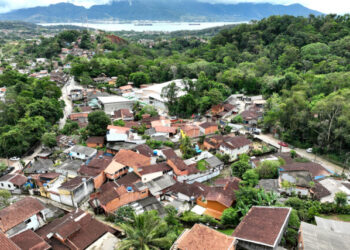 Prefeitura de Ilhabela regulamenta poda de árvores em áreas urbanas e reforça proteção ambiental